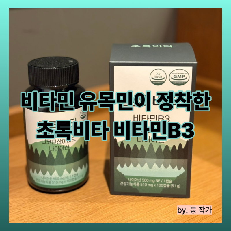 초록비타 비타민B3 500mg, 영양제를 밥 먹듯 먹는 비타민 유목민의 정착템 직접 먹어본 후기