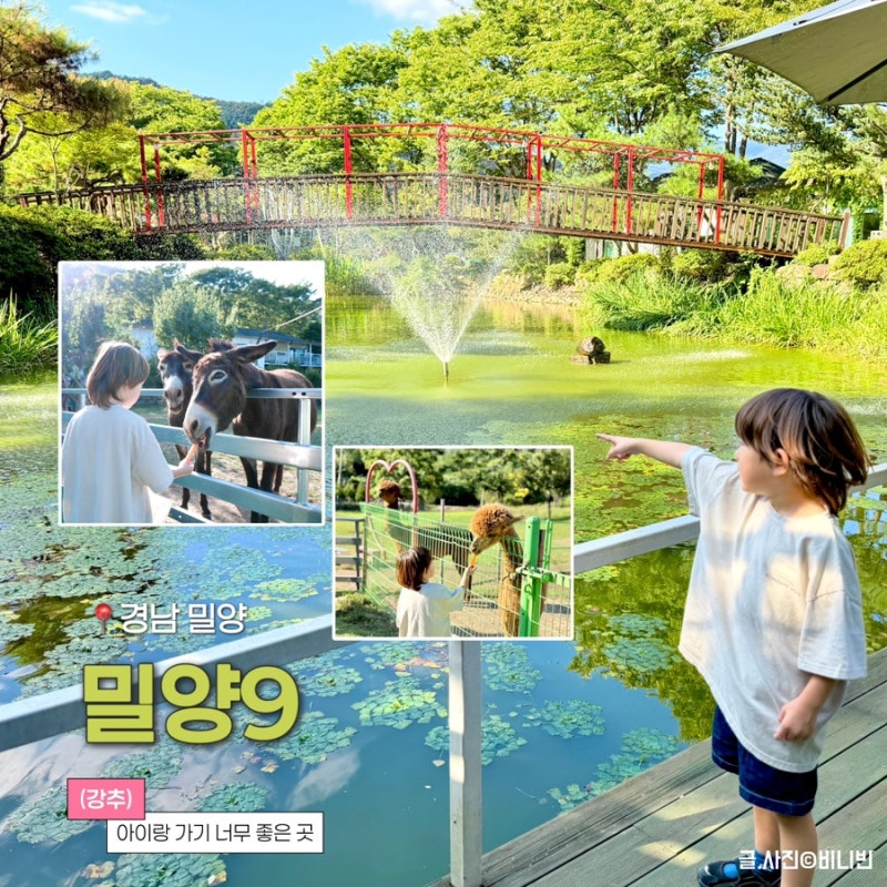 밀양 아이와 가볼만한곳 대형카페 [밀양9] 동물 먹이체험까지