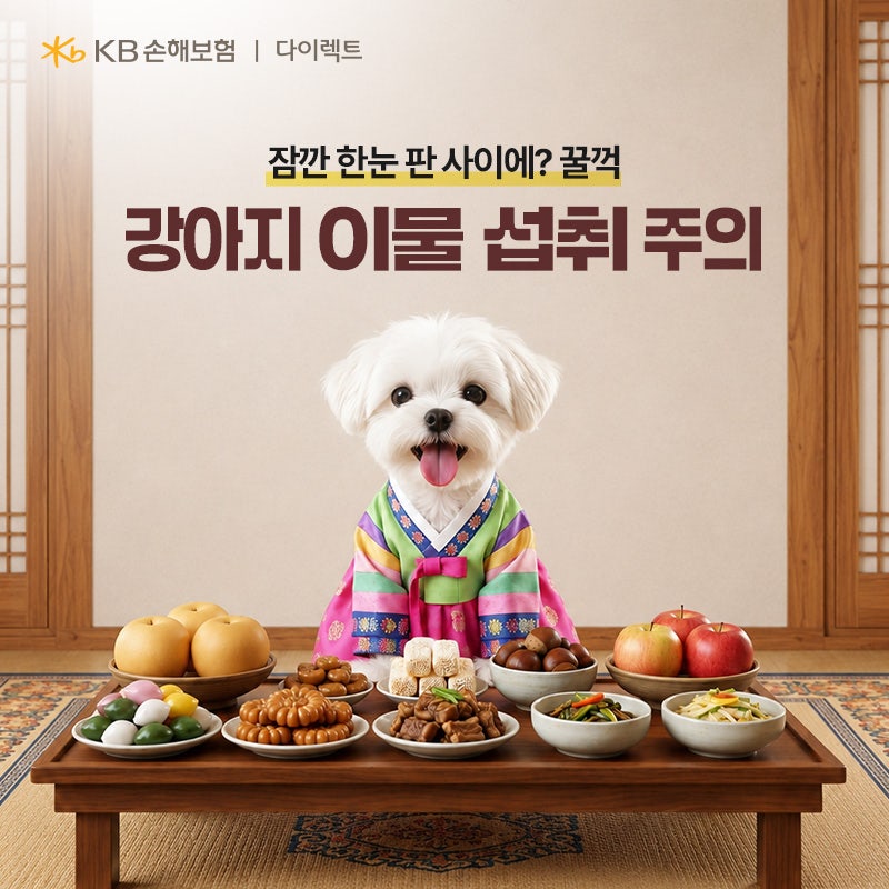 명절에 잠깐 한눈판 사이 꿀꺽! 우리 강아지를 위한, 이물 섭취 증상 동물병원 치료 예방법 ....