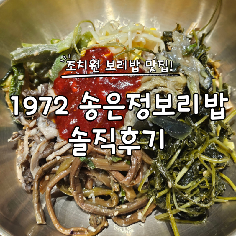 [세종] 조치원 맛집 1972 송은정 보리밥 본점 | 나물 가득한 보리밥 한상