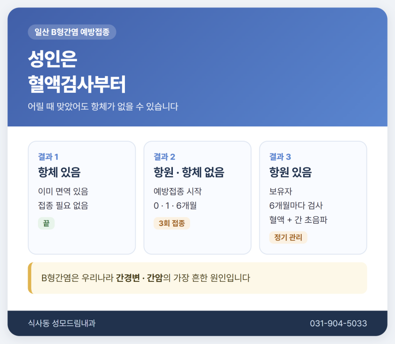 일산 B형간염 예방접종, 성인은 항체검사부터 3회 일정까지 (식사동 성모드림내과)