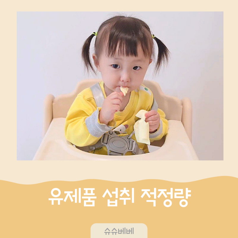돌아기 우유량 하루 얼마나? 생우유·치즈·요거트 유제품 섭취 기준