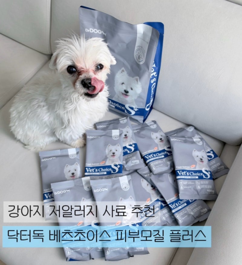 저알러지사료추천 눈물사료 말티즈 강아지 사료 닥터독 베츠초이스 피부모질 플러스 사료