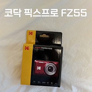 Y2K 감성카메라/ 코닥 픽스프로 FZ55 사용 후기 / 가격 & 스펙 & 작례 / 입문용 디지털카메라 추....