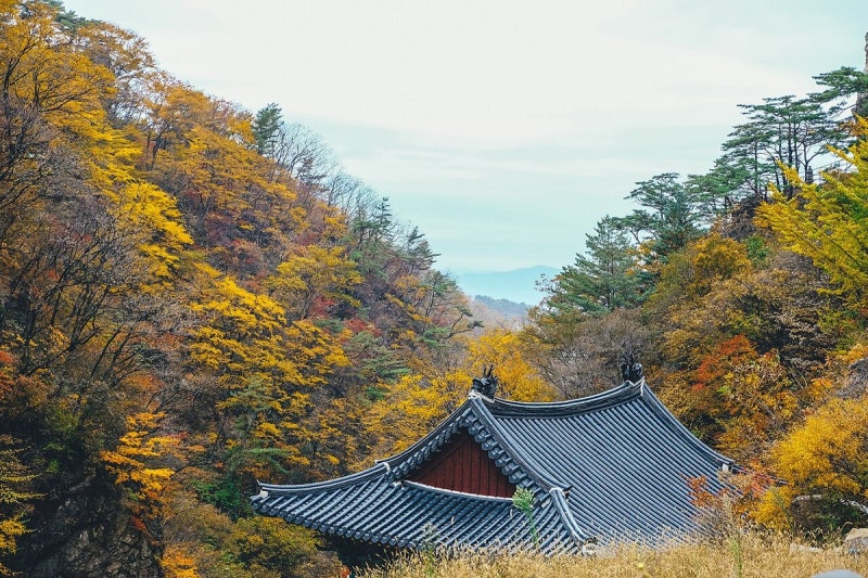 부산 근교 단풍 당일치기 7곳