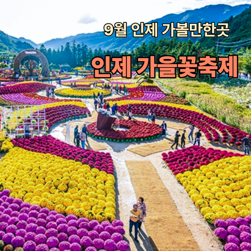 인제 가을꽃축제 박인환 낭만정원 가볼만한 곳