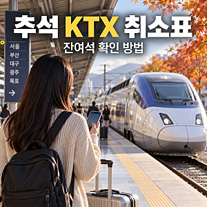 갤럭시 Z 폴드6 맥세이프 케이스｜카드지갑과 카메라 간섭 체크