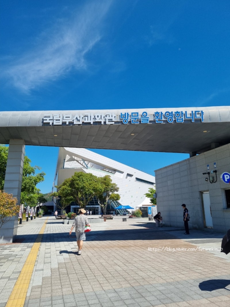 전시▶️[부산 기장] 국립부산과학관 _새싹누리관부터 어린이과학관까지 주말 나들이 매표 ....