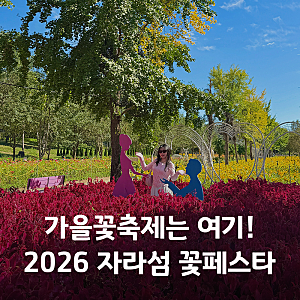 가평 자라섬 꽃축제 2026 가을 꽃페스타 기간 입장료 주차 볼거리