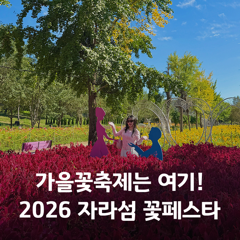 가평 자라섬 꽃축제 2026 가을 꽃페스타 기간 입장료 주차 볼거리