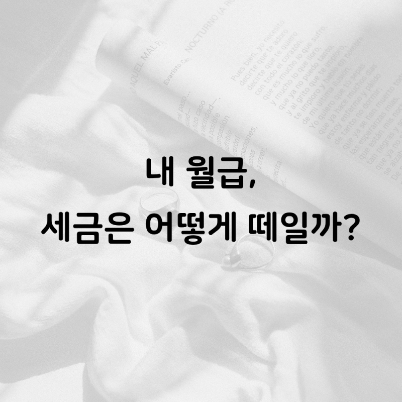 근로소득세 계산 방법, 내 월급에서 세금은 어떻게 결정될까?