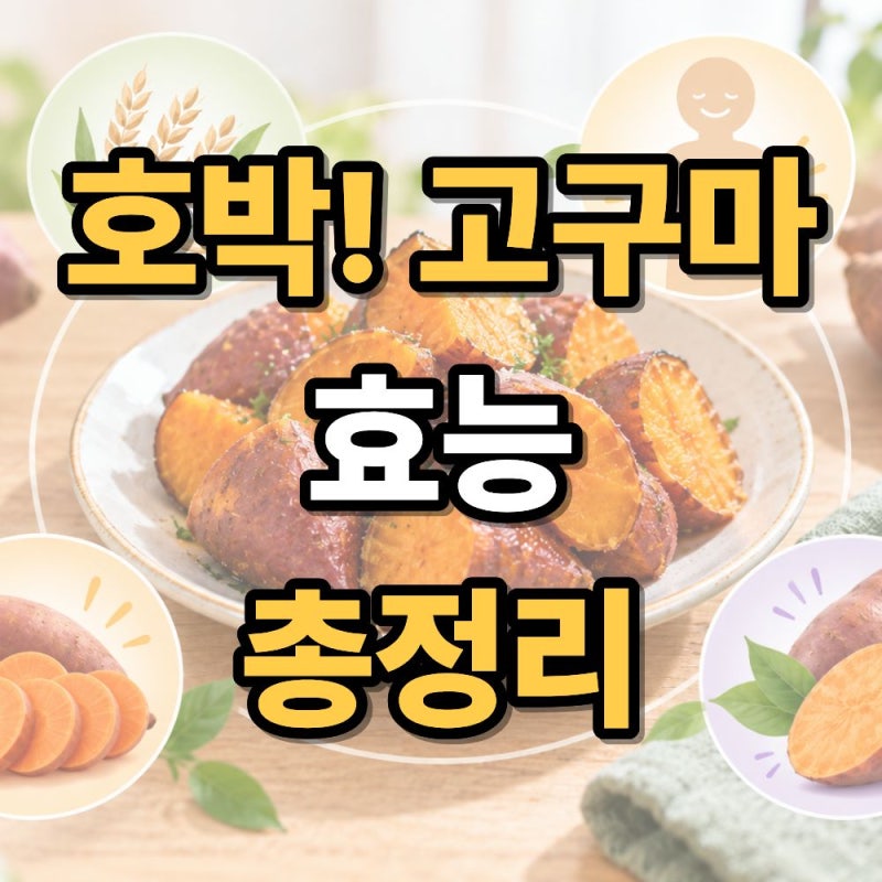 호박고구마 효능 총정리 먹는법과 하루 섭취량까지 알아보기