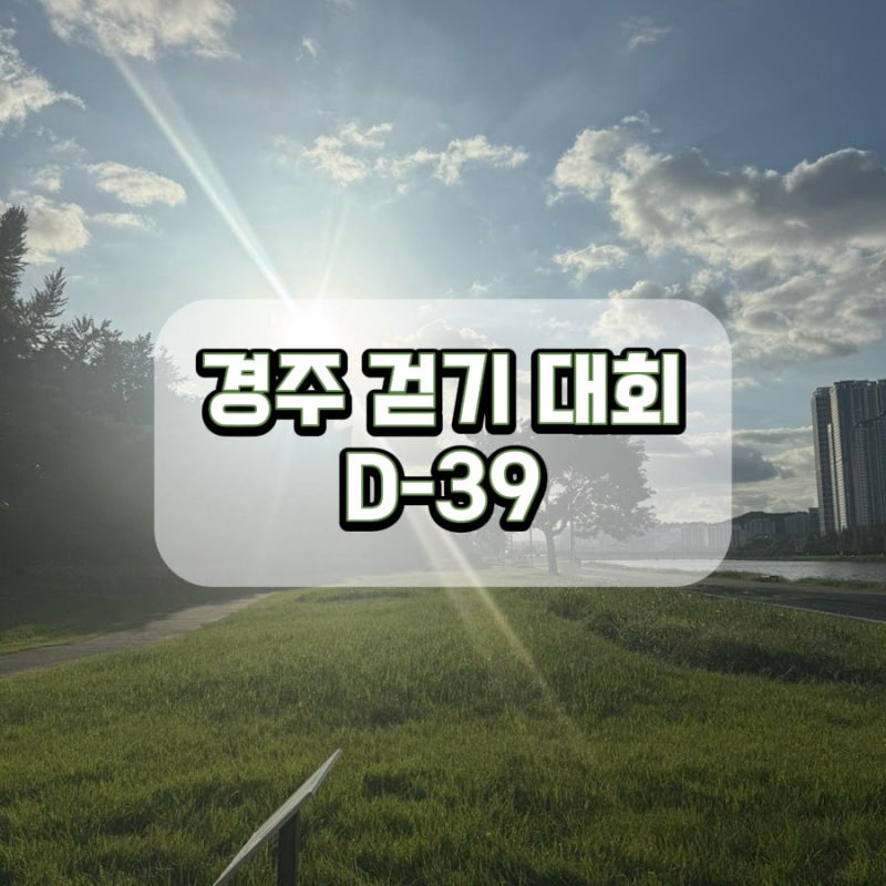 경주 걷기 대회 준비, 신라의 달밤 D-39