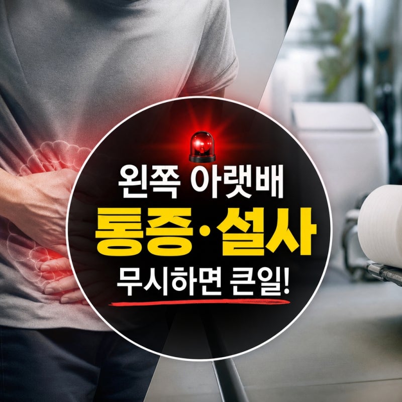 왼쪽 아랫배 통증 설사 증상 원인과 일상생활 속 대처 방법