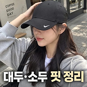 대두도 인생핏 가능? 나이키 레거시91 드라이핏 볼캡