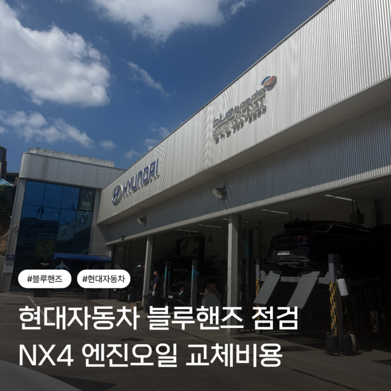 현대자동차 투싼 NX4 블루안심점검 블루핸즈 5회차 엔진오일 교체비용