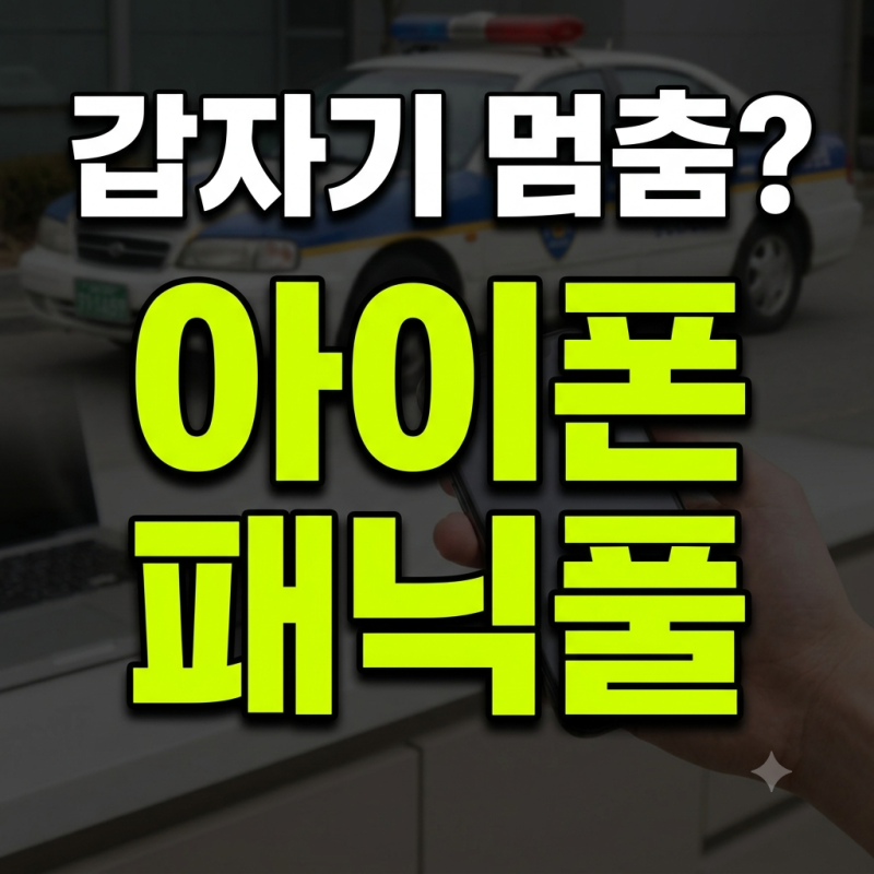 아이폰 panic-full 발견 시 대처법, 패닉풀 반복 재부팅과 불량 확인 기준