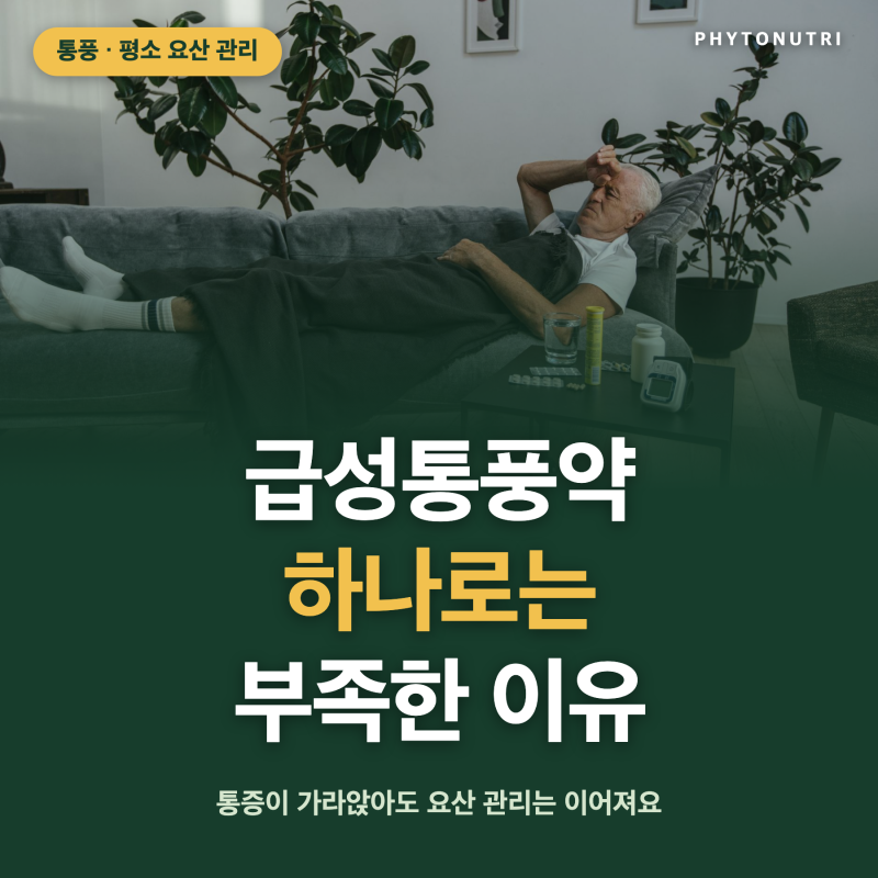급성통풍약 하나로는 부족한 이유, 평소 요산 관리부터
