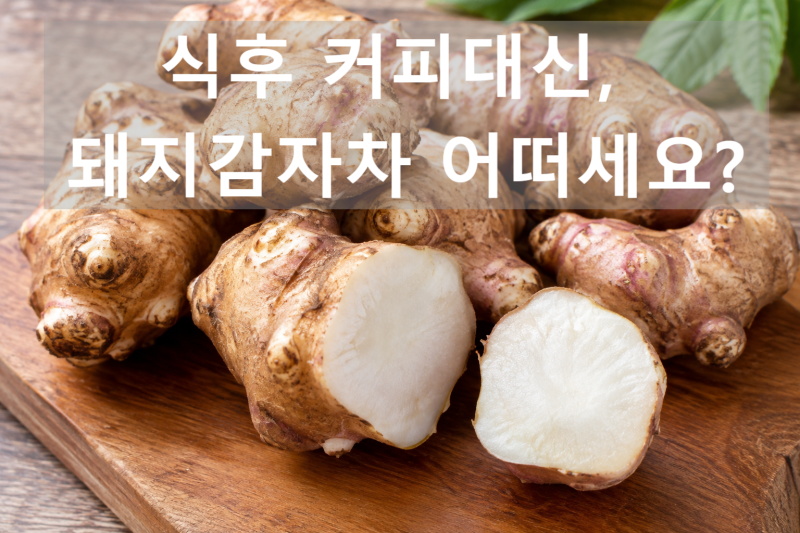 식사는 조심하는데 커피는 그대로? 제가 돼지감자차를 마시기 시작한 이유