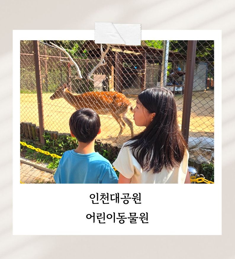 인천대공원 동물원｜주말에 아이들과 시간 보내기 좋은 곳