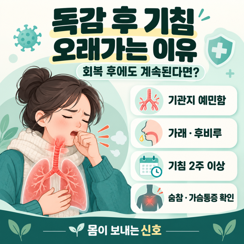 독감 후 기침 오래가는 이유, 회복 후에도 계속된다면 확인할 신호