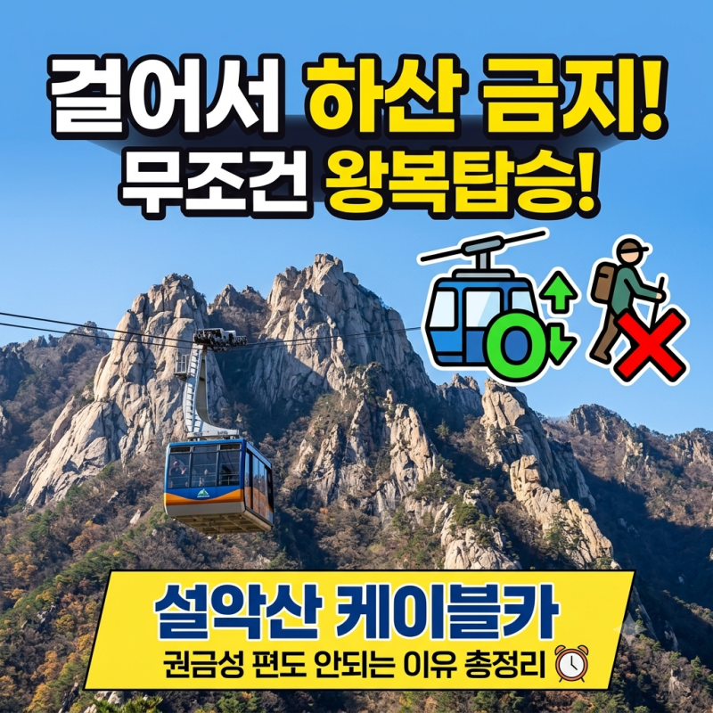 설악산 케이블카 왕복만 가능? 편도 하차 안되는 이유 정리