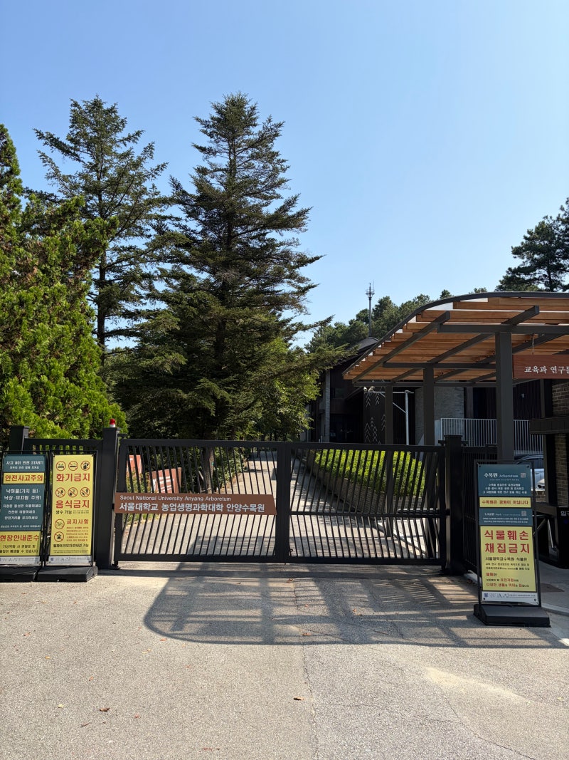 [안양 가볼만한곳] 서울대 안양수목원 예약·주차 총정리｜단풍길·안양예술공원 산책
