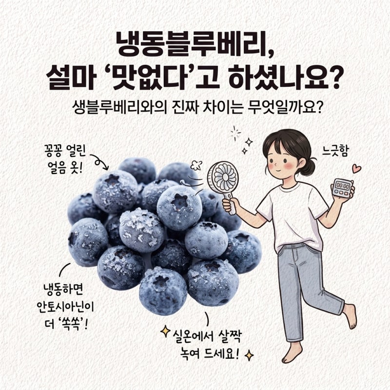 냉동이 못한 줄 앎 생블루베리 냉동블루베리 차이 제철 시기 당도 품종 칼로리