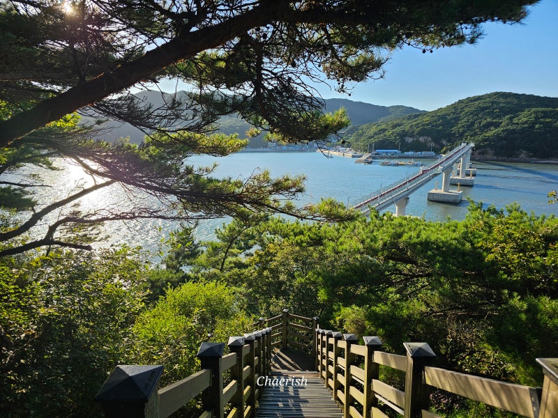 인천 당일치기 섬 여행 소무의도 가는 법 트래킹 소요시간