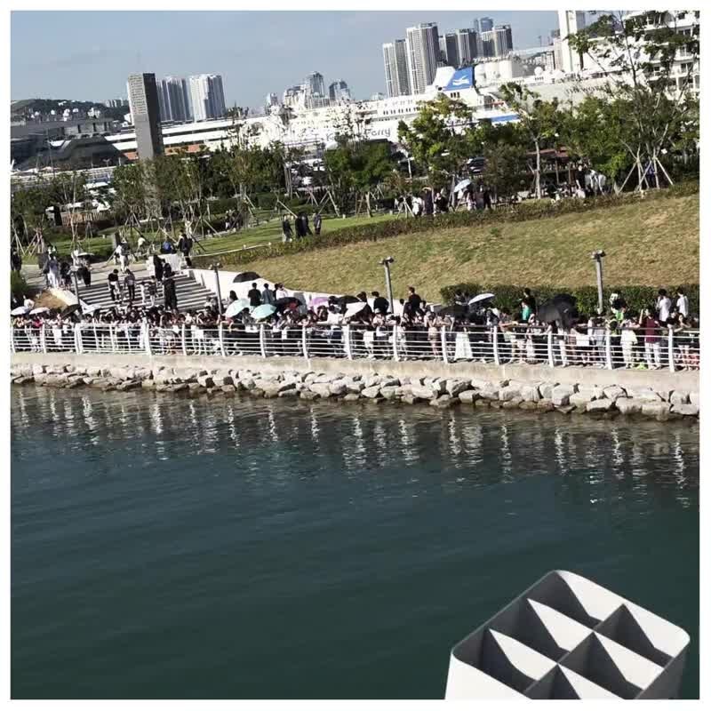 부산 북항 상어 부캉이 뜻과 위치, 생닭 논란까지