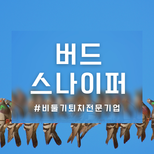용인 기흥구 아파트 베란다 난간 실외기 비둘기 똥 청소