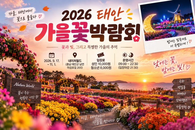 2026 태안 가을꽃박람회 총정리｜입장료·야간 빛축제·주차·개화정보까지