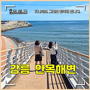 안목해변 강릉카페거리 선물 놀거리