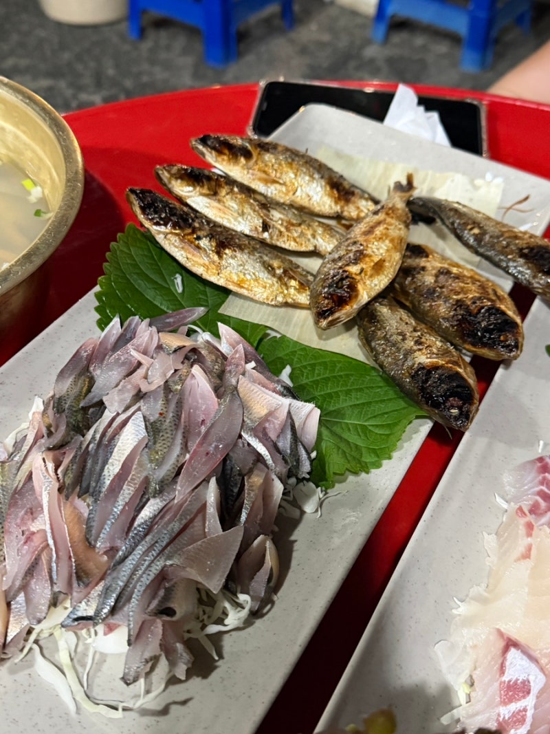 청주 내덕동 야장 맛집 회포장｜참돔회부터 전어회·전어구이까지, 제철 해산물 제대로 즐기....