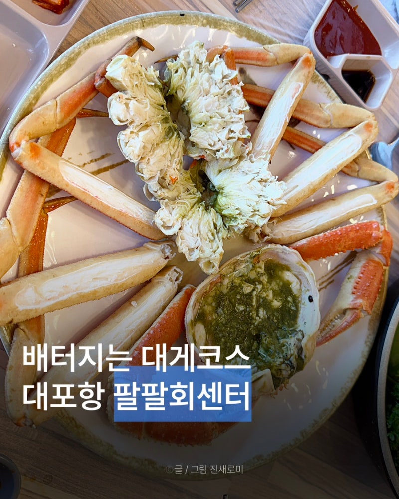 속초 맛집 대게먹으면 독도새우까지 팔팔회센타 속초대포항시장점 배터지는 2인세트