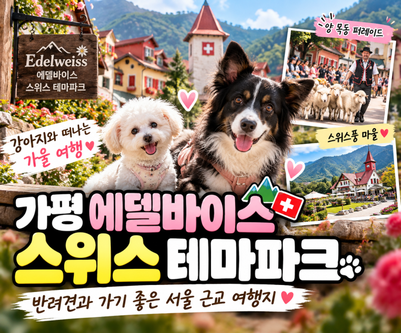 서울 근교 애견 동반 여행 여권 없이 만나는 "가평 에델바이스 스위스 테마파크"