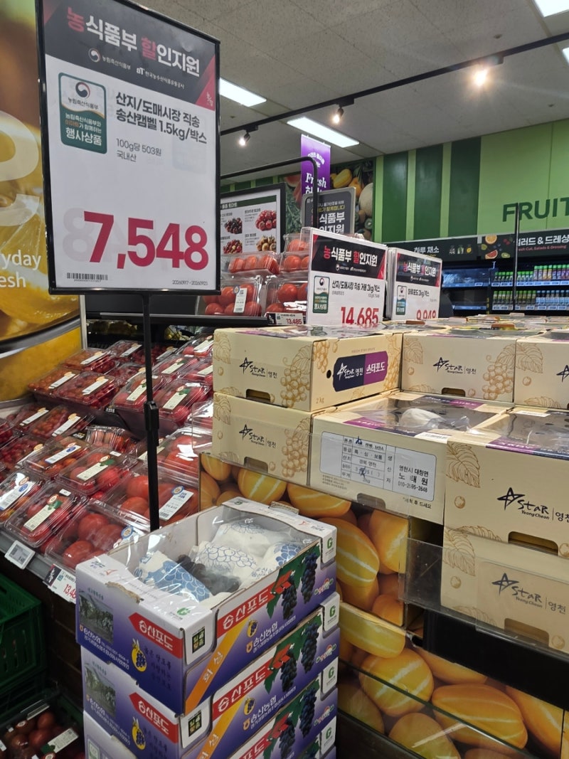 이마트 포도 종류 송산 캠벨 거봉 머루 샤인 맛있는 포도 고르는 팁