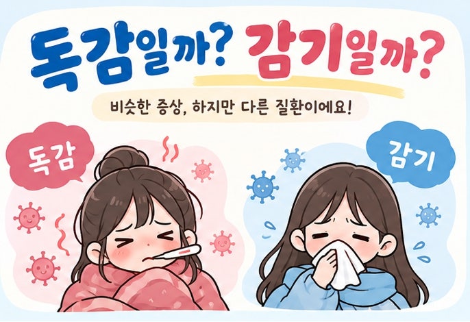 독감일까 단순 감기일까? 초기 증상 차이와 자가진단법 총정리