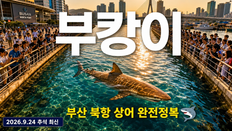 부캉이 뜻·위치·종(무태상어) 총정리 | 부산 상어 나무위키·생닭 논란·게임까지