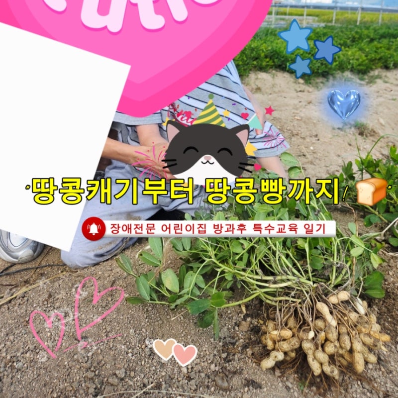 장애전문 어린이집 방과후 돌보미 특수교육 일기 | 땅콩캐기 체험 & 땅콩빵 만들기, 그네 심....