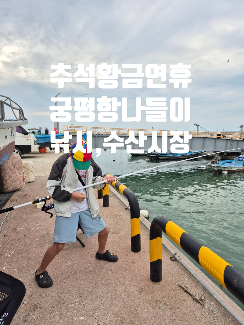 궁평항 낚시부터 수산시장까지! 4시간 낚시하고 참돔·해산물 먹은 추석연휴 가족 나들이. 새....