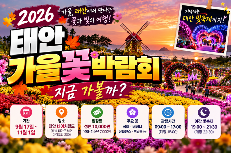 2026 태안 가을꽃박람회 지금 가도 될까? 개화상황·입장료·기간·무료 식사권 총정리
