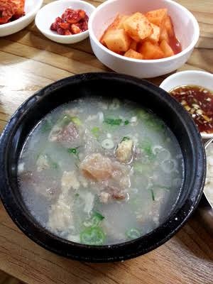 [독립문/무악재 맛집] 60년 전통 서울 최고의 도가니탕! 미쉐린 빕구르망 '대성집' 솔직 후기