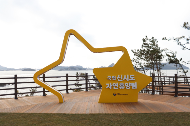 섬 속의 휴식, 국립신시도자연휴양림 완벽 가이드! 오션뷰 명당 객실부터 예약 팁까지