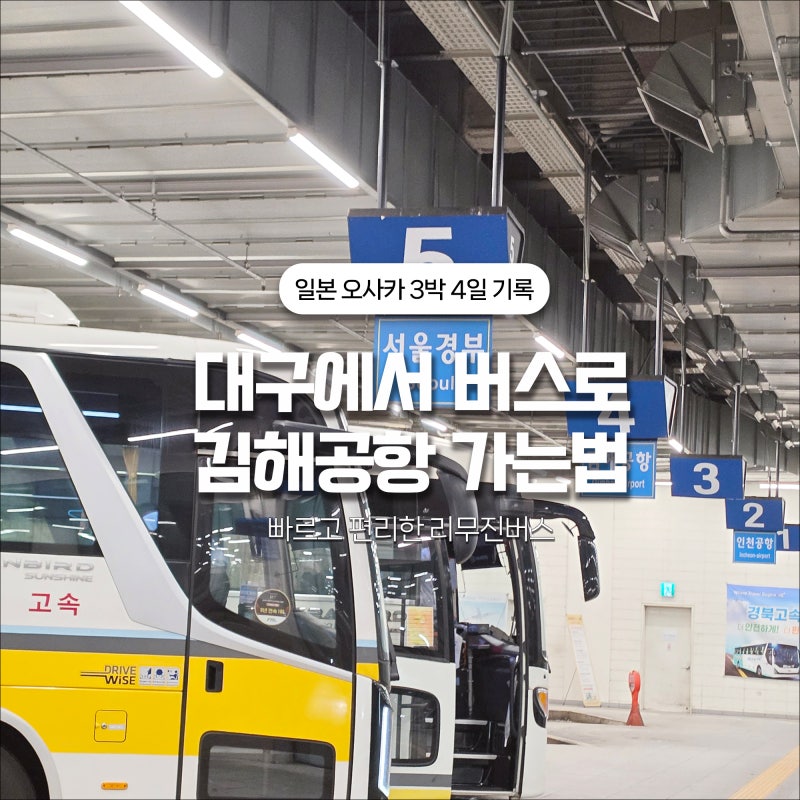 대구에서 김해공항 리무진, 버스 소요시간, 첫차 막차 정보 총정리