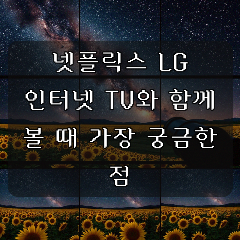 엘지 엘쥐 LG 유플러스 인터넷 티비 넷플릭스 유용한 팁
