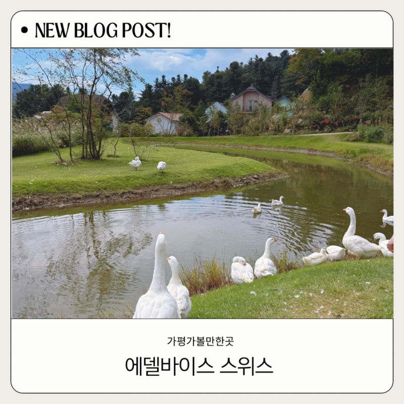 가평 아이와 함께 가기 좋은 곳, 에델바이스 스위스 테마파크