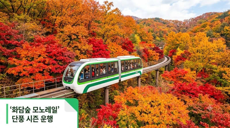 "화담숲" 가을 단풍 예약 방법 총정리! 모노레일 예매와 요금 표 안내