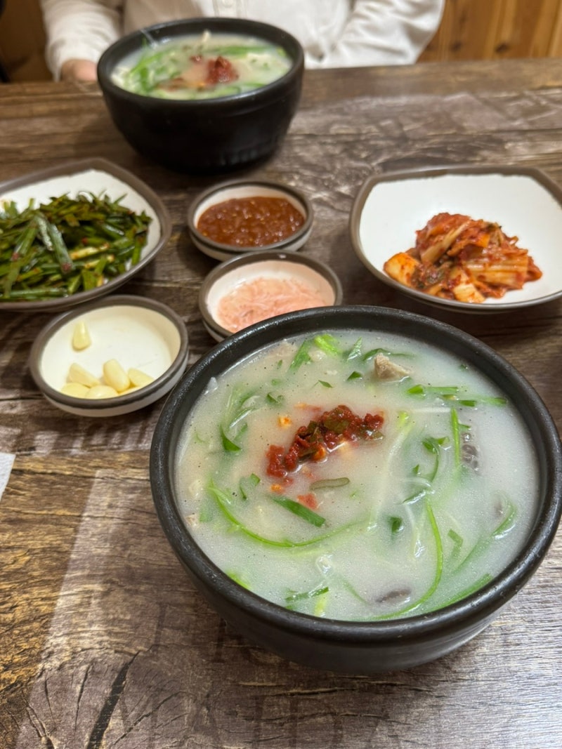 밀양맛집 밀양 가볼만한 곳 밀양 설봉 돼지국밥 / 영남루 별빛정원