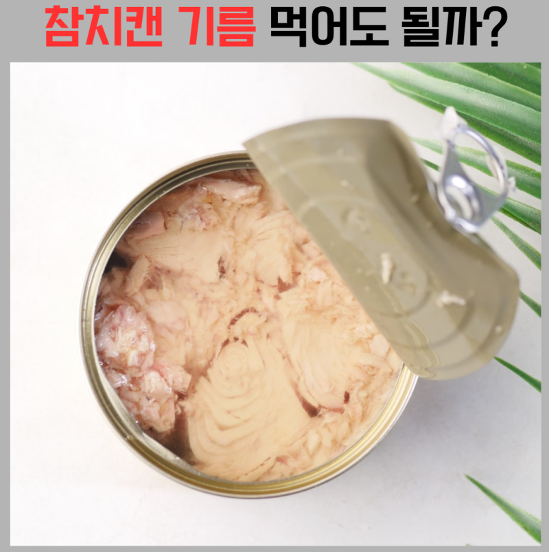 참치캔 기름 버려야 할까? 기름참치 vs 물참치 차이와 활용법